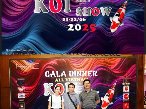 ALL VIETNAM KOI SHOW 2025 & UÔNG GIA KOI FARM 