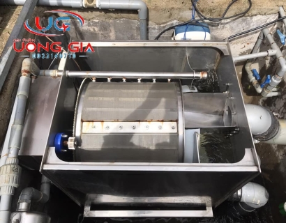 Có cần bảo trì - bảo dưỡng - vệ sinh hồ cá định kỳ?