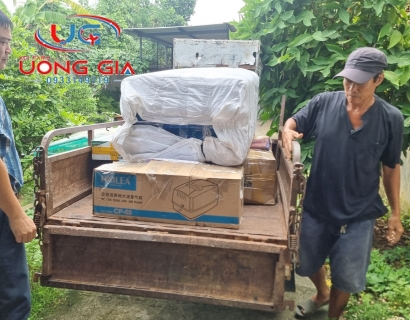 Dịch vụ cung cấp vật liệu lọc trọn gói cho hồ Koi